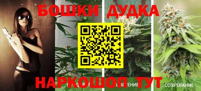 индика Комсомольск-на-Амуре