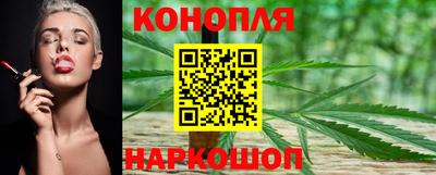 эйфоретик Кимры