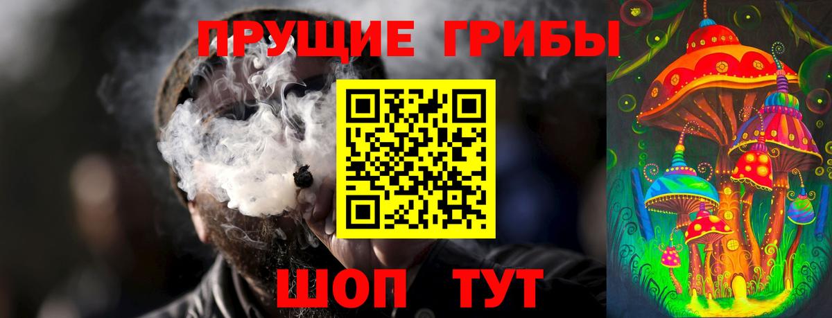 Камышин  Псилоцибиновые грибы Magic Shrooms  Вход с VPN 